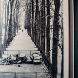 亨利·卡地亚·布列松：重访巴黎