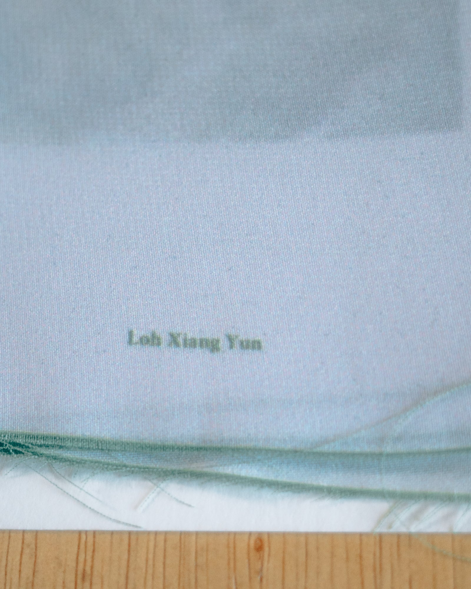 Organised Scenery – Zontiga