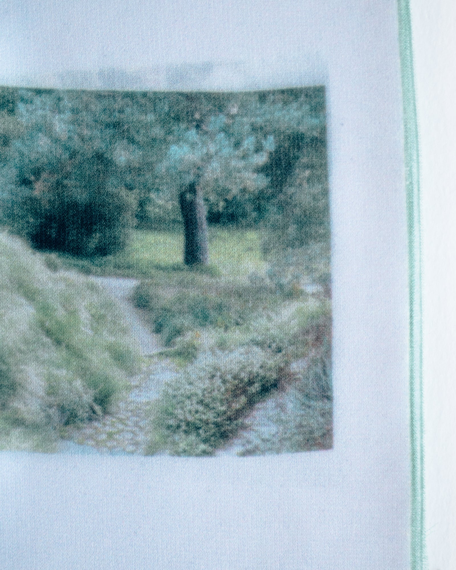 Organised Scenery – Zontiga