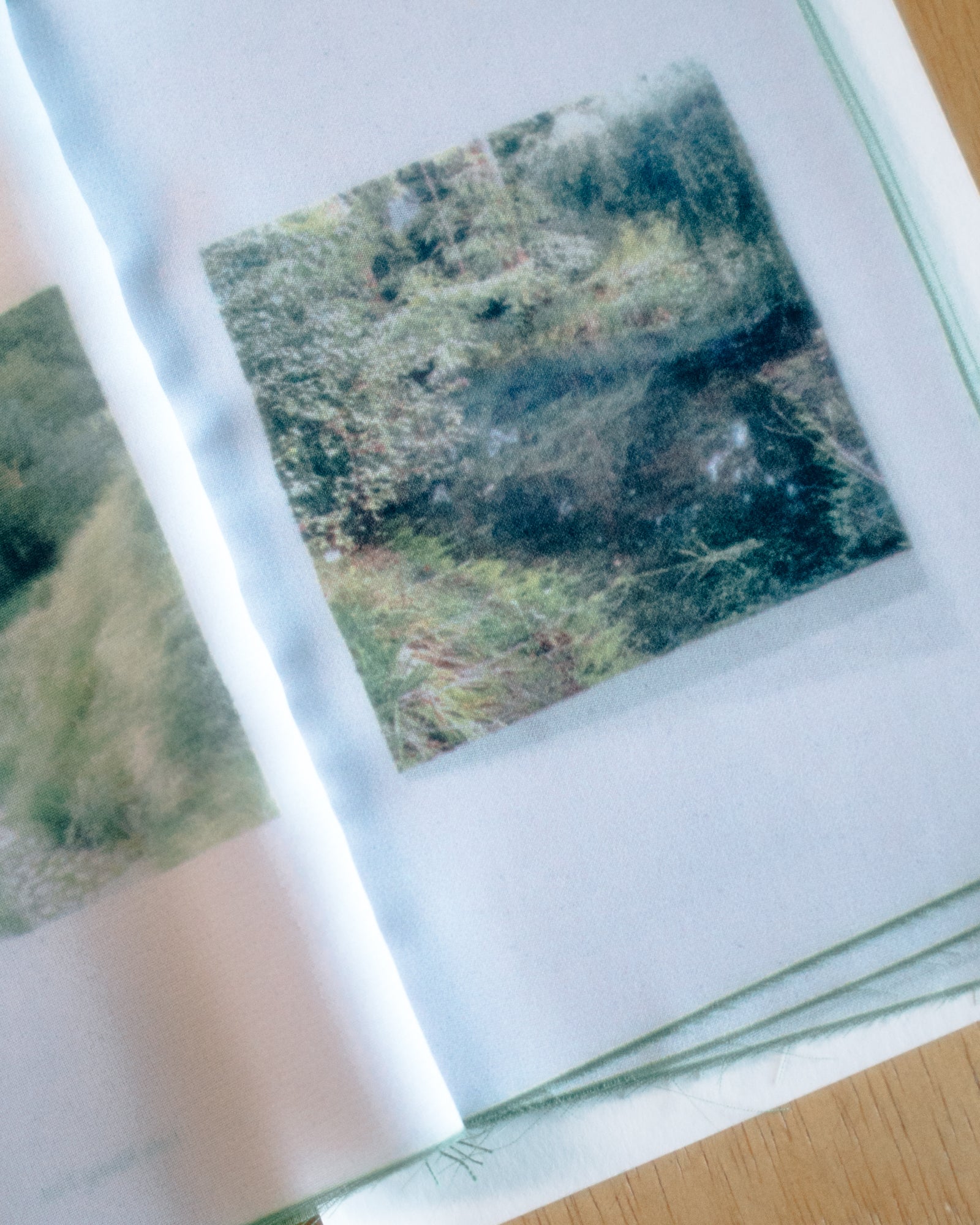 Organised Scenery – Zontiga