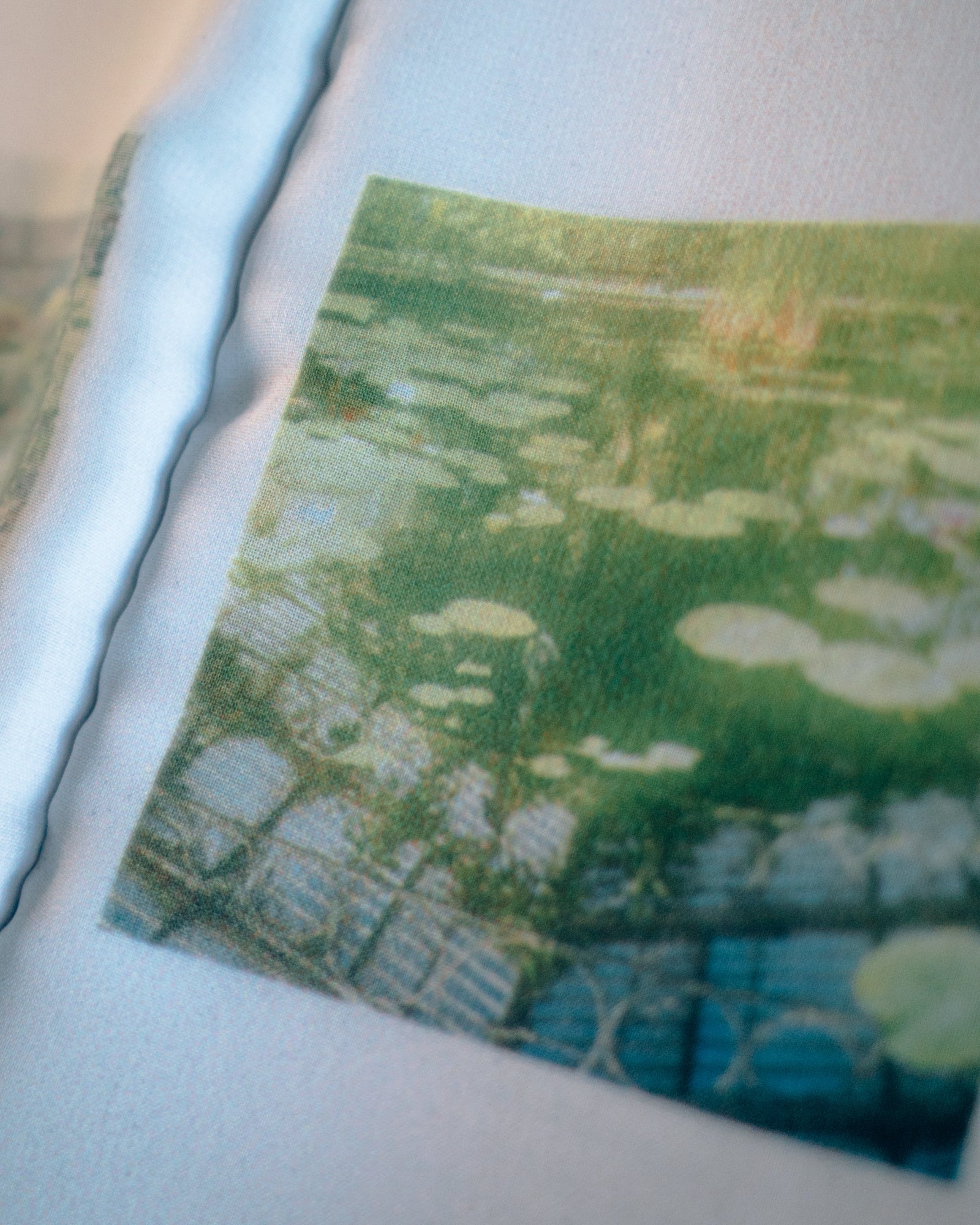 Organised Scenery – Zontiga