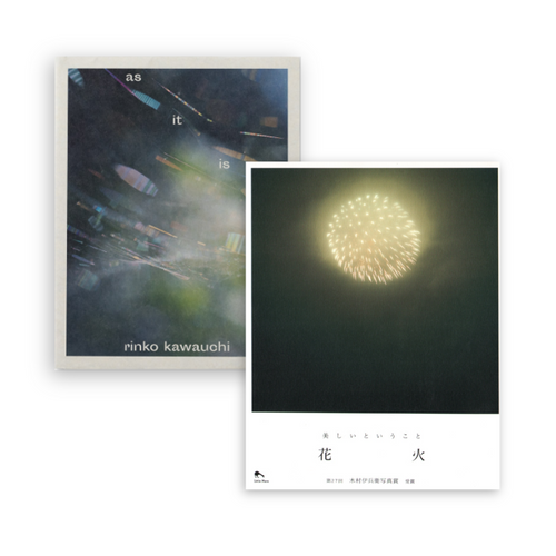 Rinko Kawauchi 川内倫子 – Zontiga