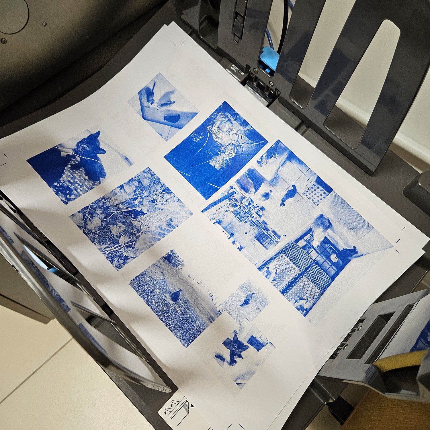 Mini Riso Photo-Zine Workshop with Bang Bang Zine (29 & 30 June '24 ...