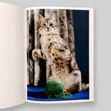 Walter Chandoha: The Cat Photographer