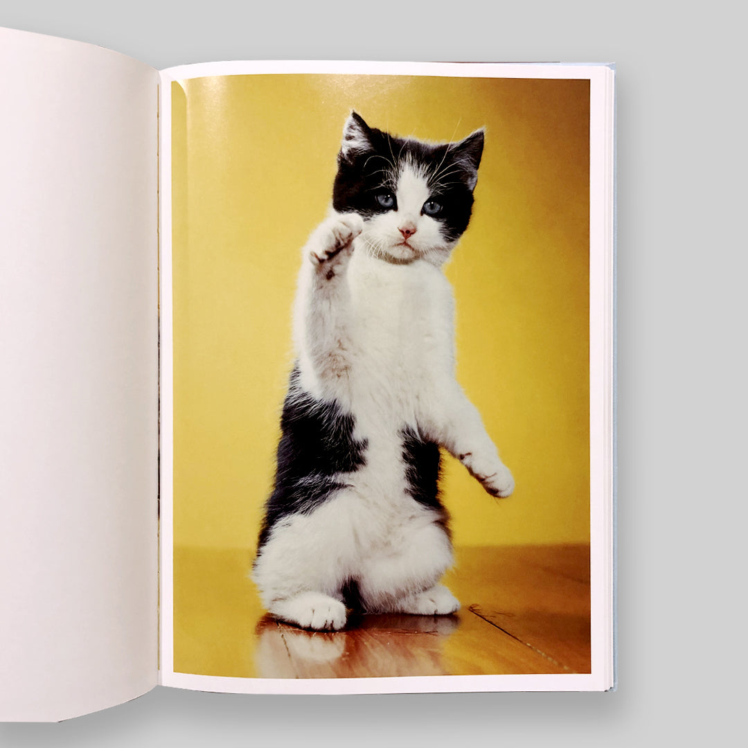 Walter Chandoha: The Cat Photographer