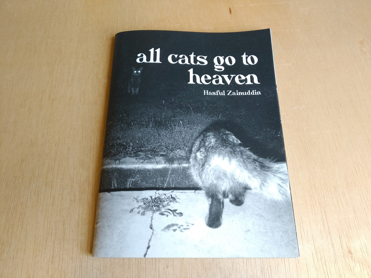 所有的猫都去天堂