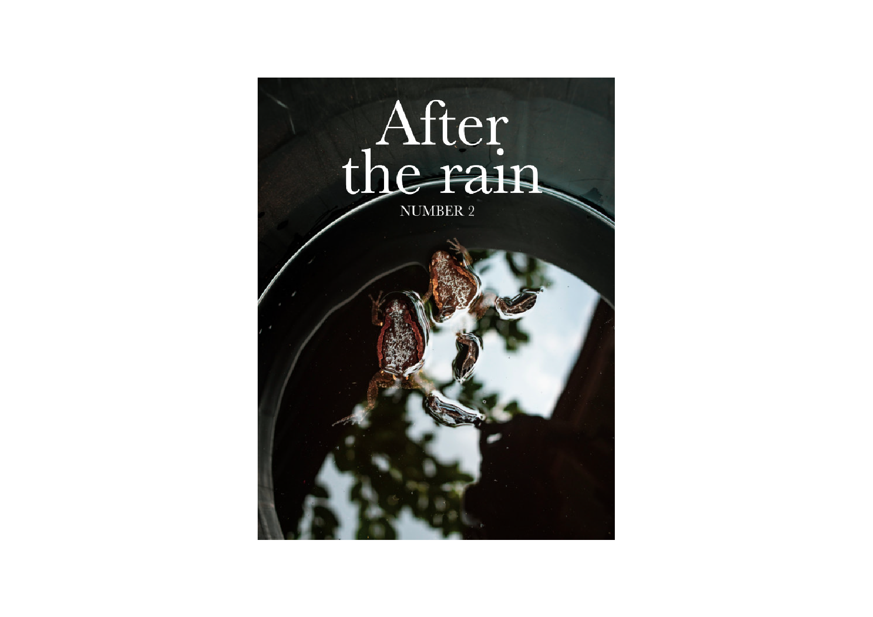 After the Rain: Number 2