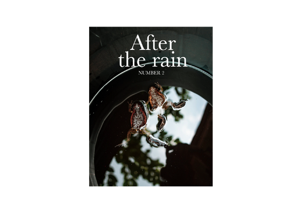 After the Rain: Number 2