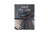 After the Rain: Number 1