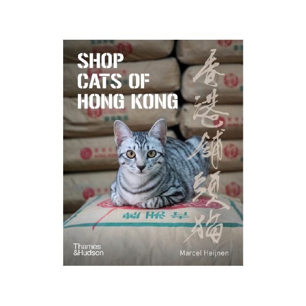 Shop Cats of Hong Kong
